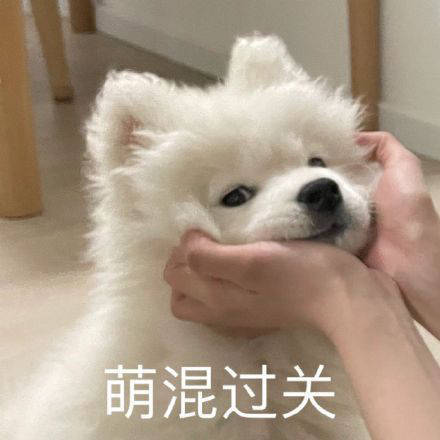 雙非大三，績點(diǎn)低，想去香港留學(xué)來得及嗎？怎么補(bǔ)救？