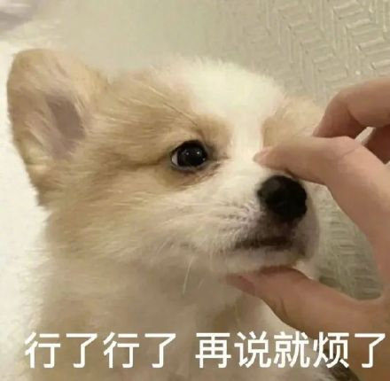 雙非大三，績點(diǎn)低，想去香港留學(xué)來得及嗎？怎么補(bǔ)救？