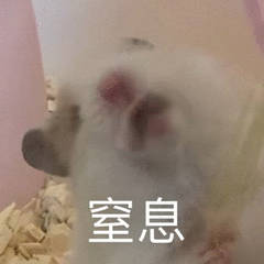 為什么不建議家境普通的學(xué)生讀商科？