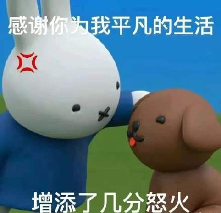 為什么不建議家境普通的學(xué)生讀商科？