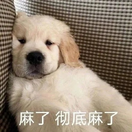 留學(xué)生10大最難學(xué)專業(yè)，金融竟然是最后一名？