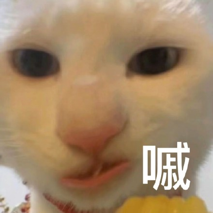 留學(xué)生10大最難學(xué)專業(yè)，金融竟然是最后一名？