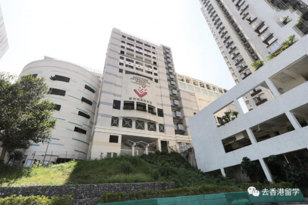 香港熱門國際學校學費是多少(香港國際學校費用排行榜)