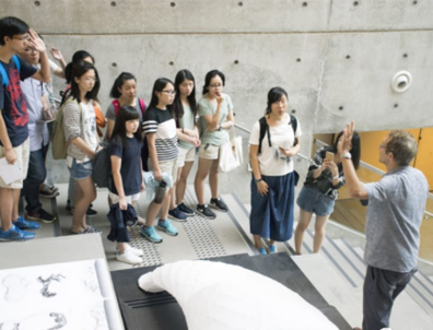 香港大學夏校申請！5月31日截止，有機會拿到港大教授推薦信！