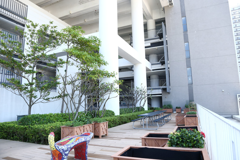 香港新加坡國際學(xué)校入學(xué)條件、費(fèi)用及校園生活全解析
