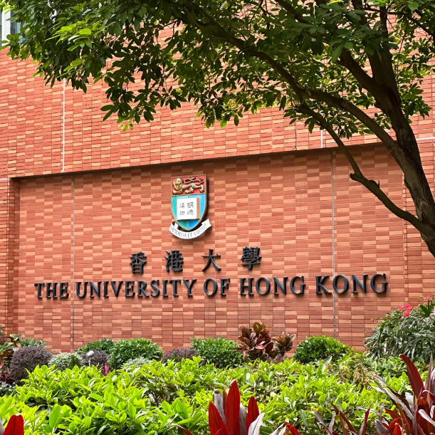香港大學(xué)25Fall新增11個專業(yè)，盤點申請要求！